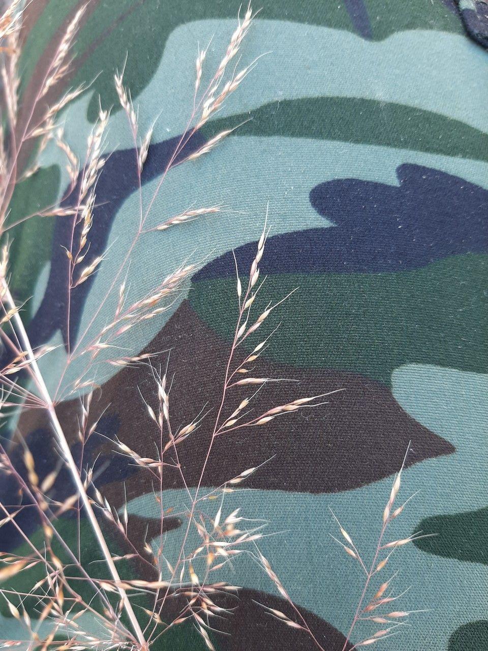 Grote windhalm in volle glorie, lichte pluimen dansen in de wind op een zonnige herfstdag