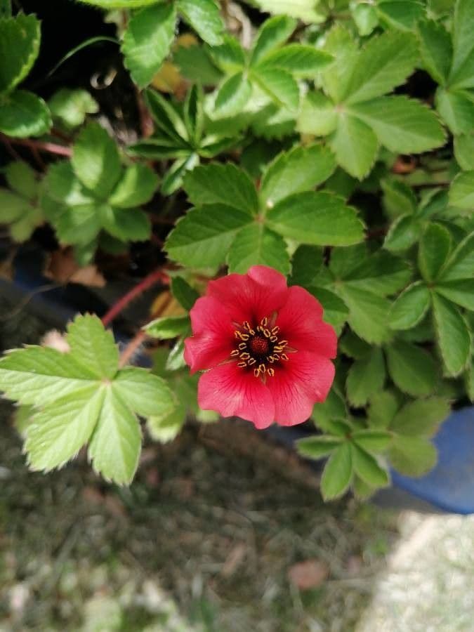 Test