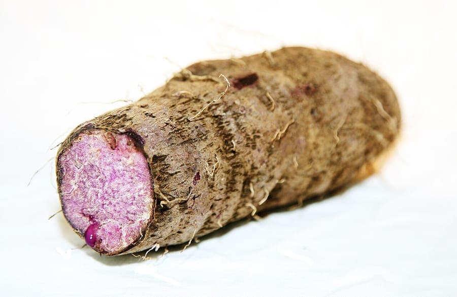 Dioscorea alata ranken met vleugels