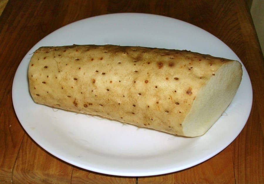 Chinese yam plant met bladeren