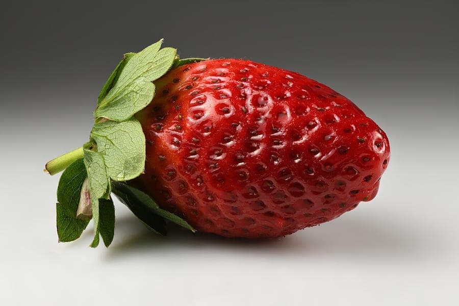 Ripe red garden strawberries on the plant