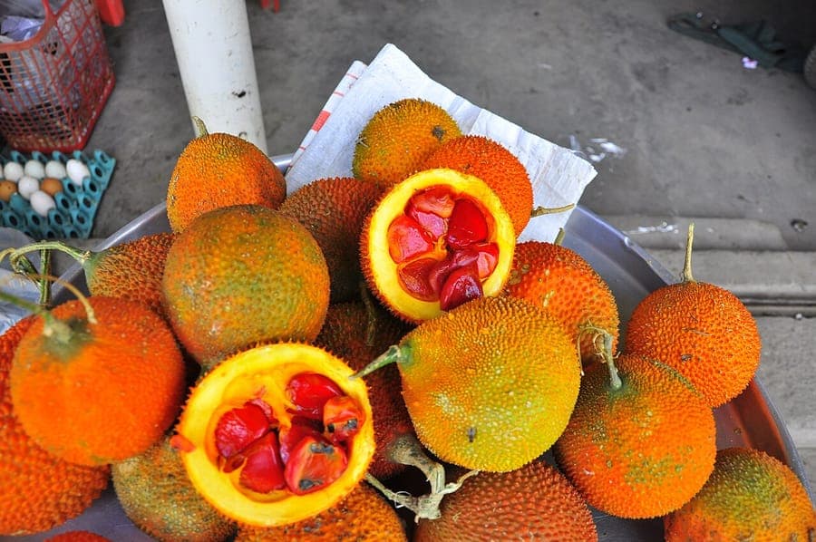 Momordica cochinchinensis with distinctive red-orange warty seed pods